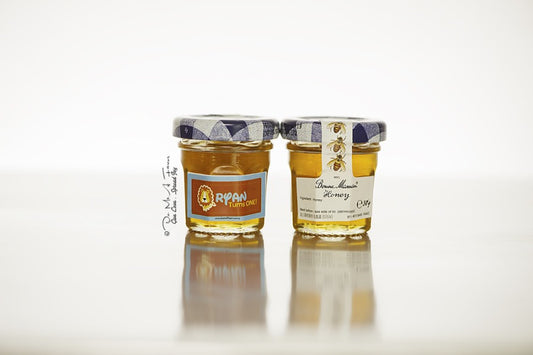 Ryan the Lion Bonne Maman Jam/Honey