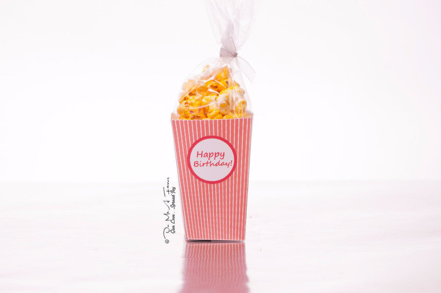 Adorable Ballerina Popcorn Box