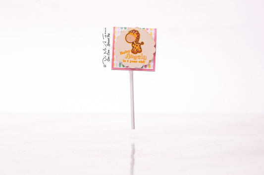 Oh Baby Girl Organic Lollipops