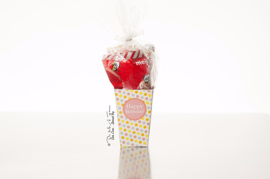 Adventurous Cowgirl Party Packs