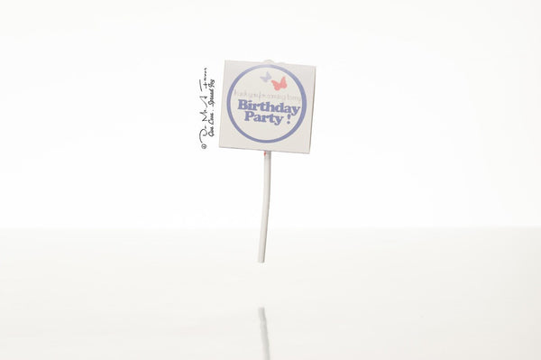 Fairy Princess Party Packs (Purple Fairy Dust)