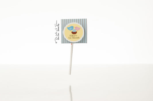 Happy Family Organic Lollipops