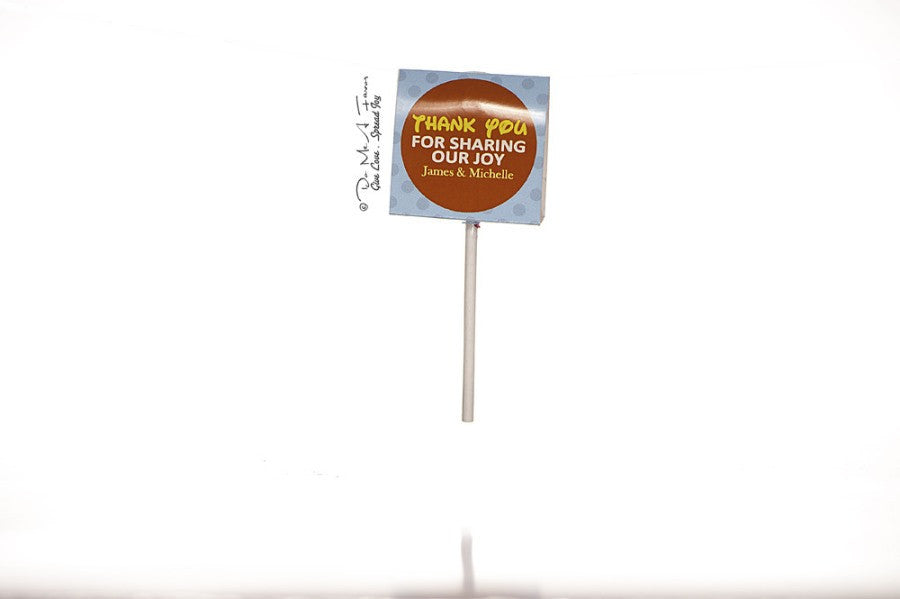 Ryan the Lion Organic Lollipops